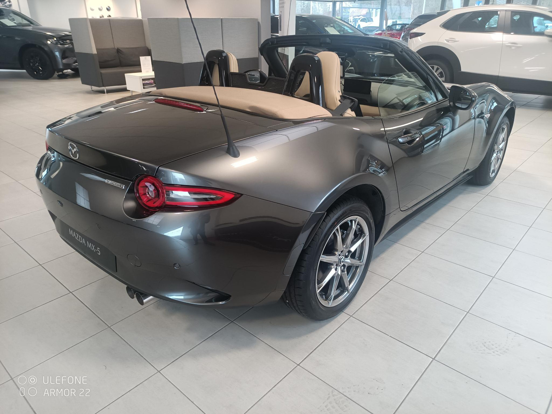 47970375-4.jpg