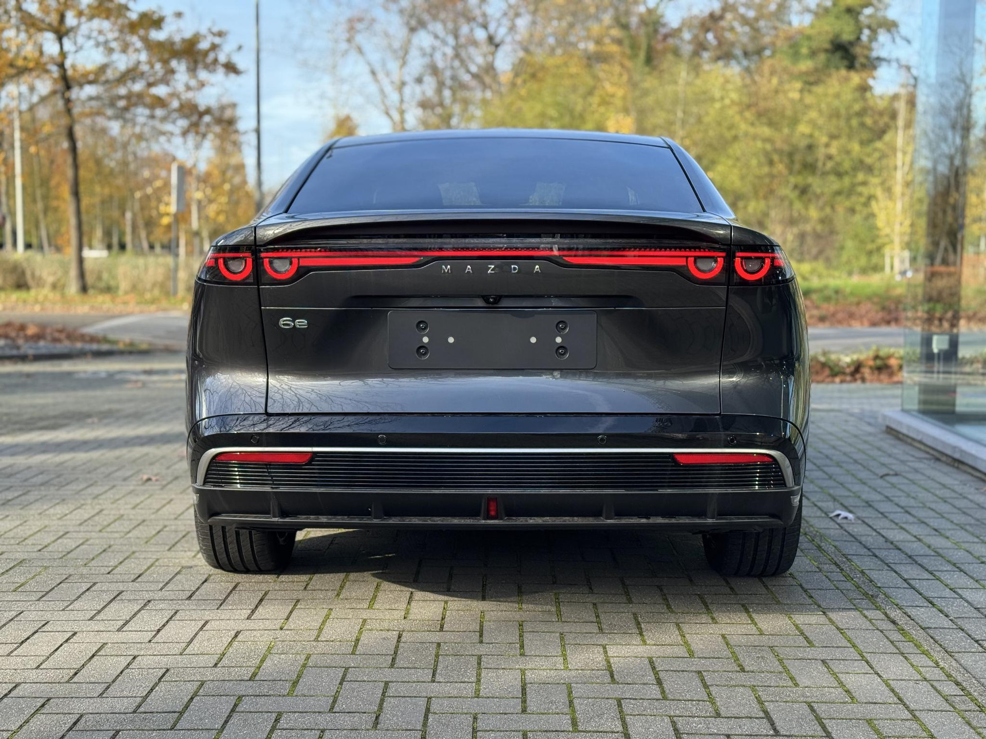 48954422-5.jpg