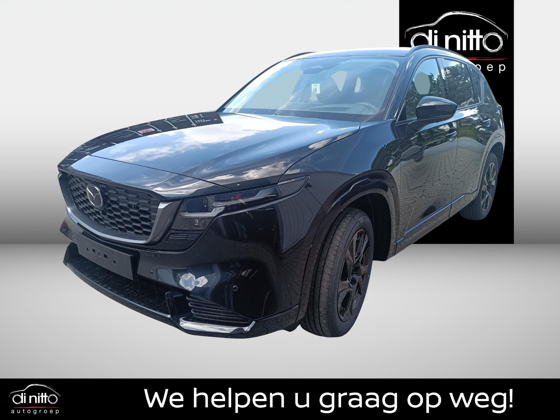 53596427
