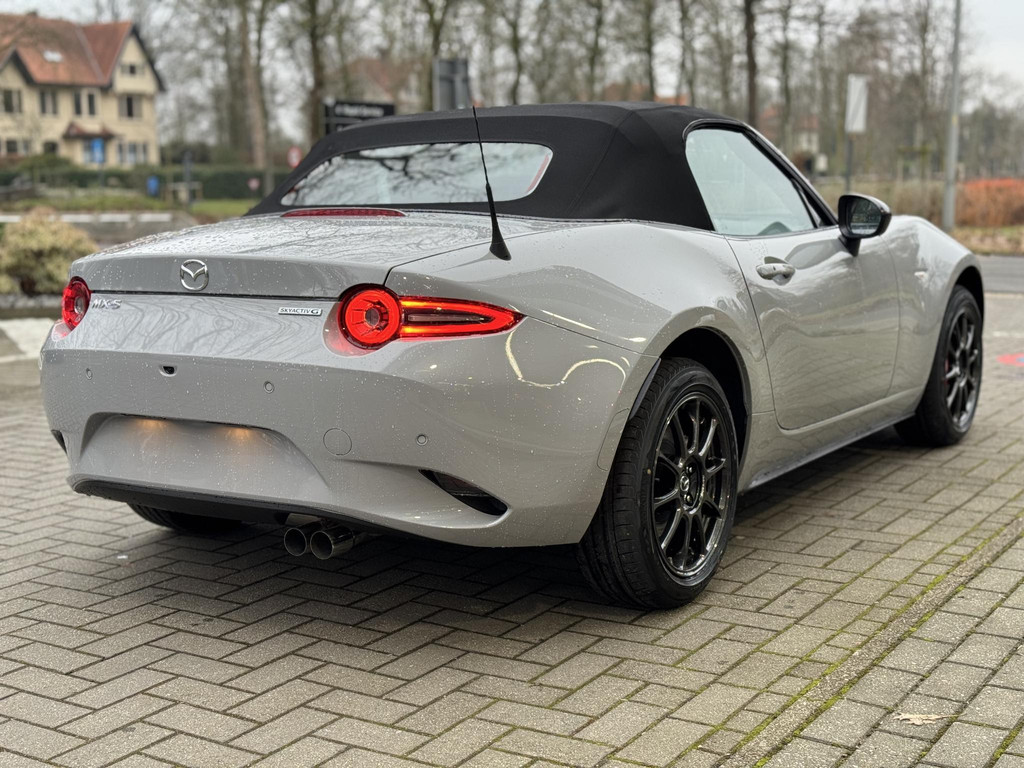 53596463-3.jpg