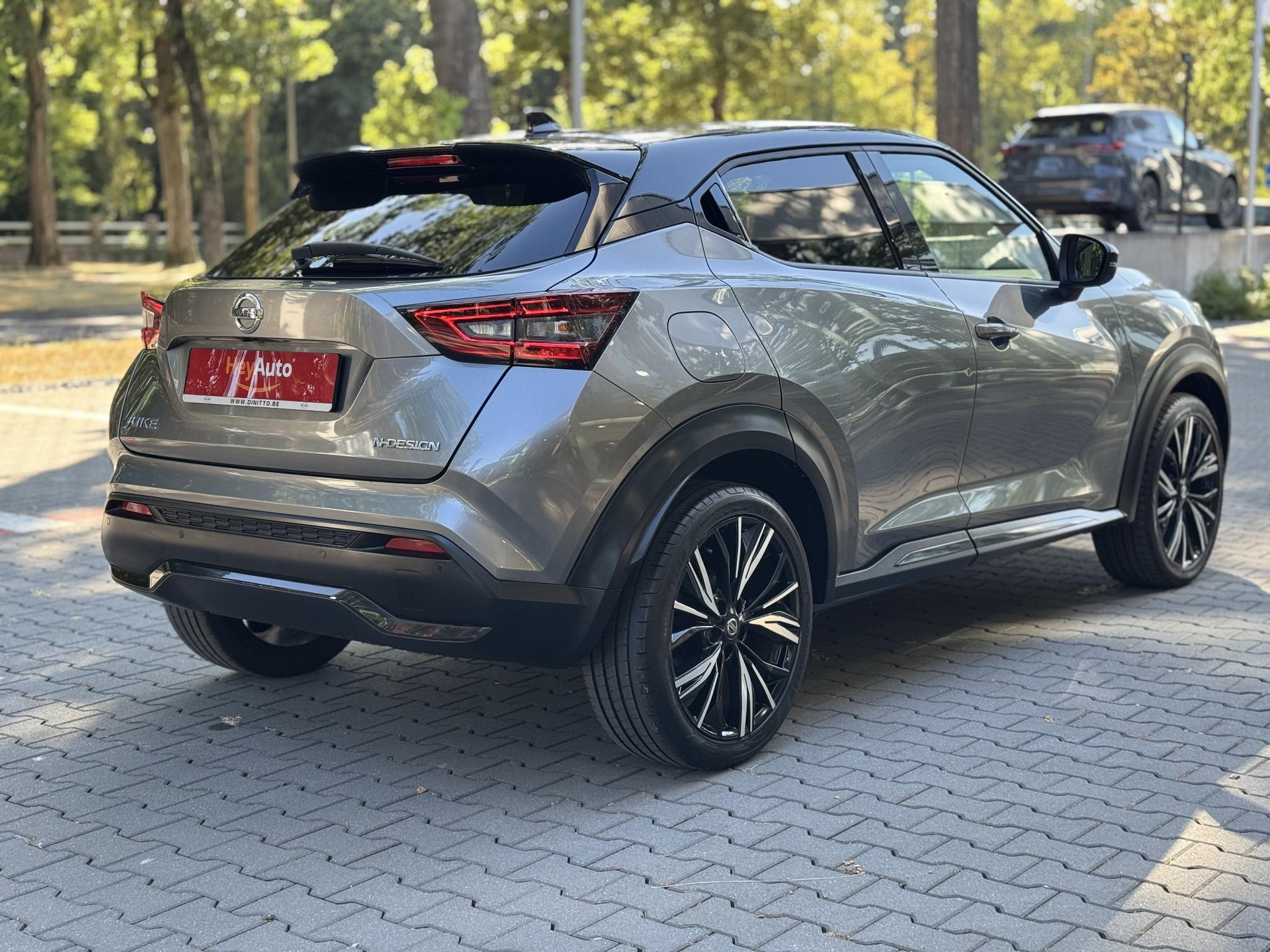 56032641-4.jpg