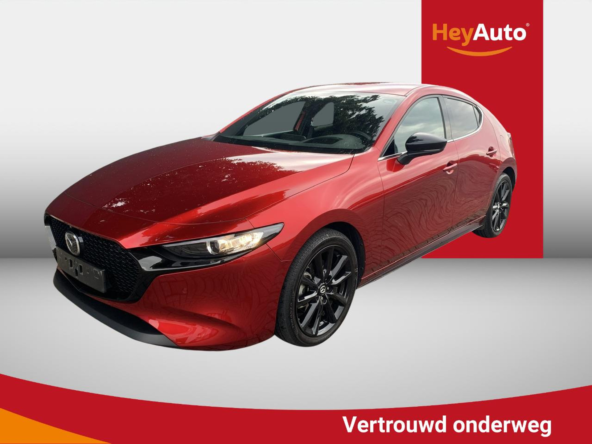 56270651
