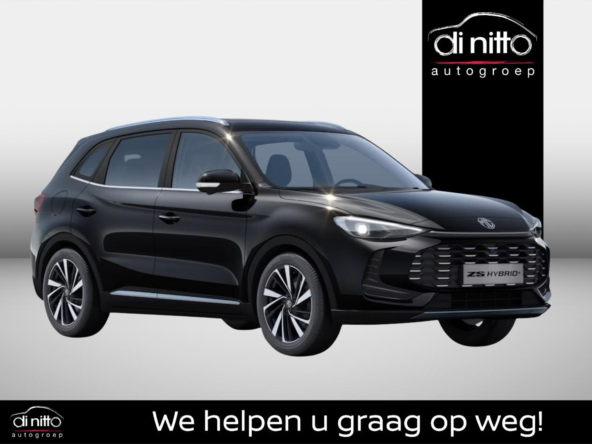 56573066