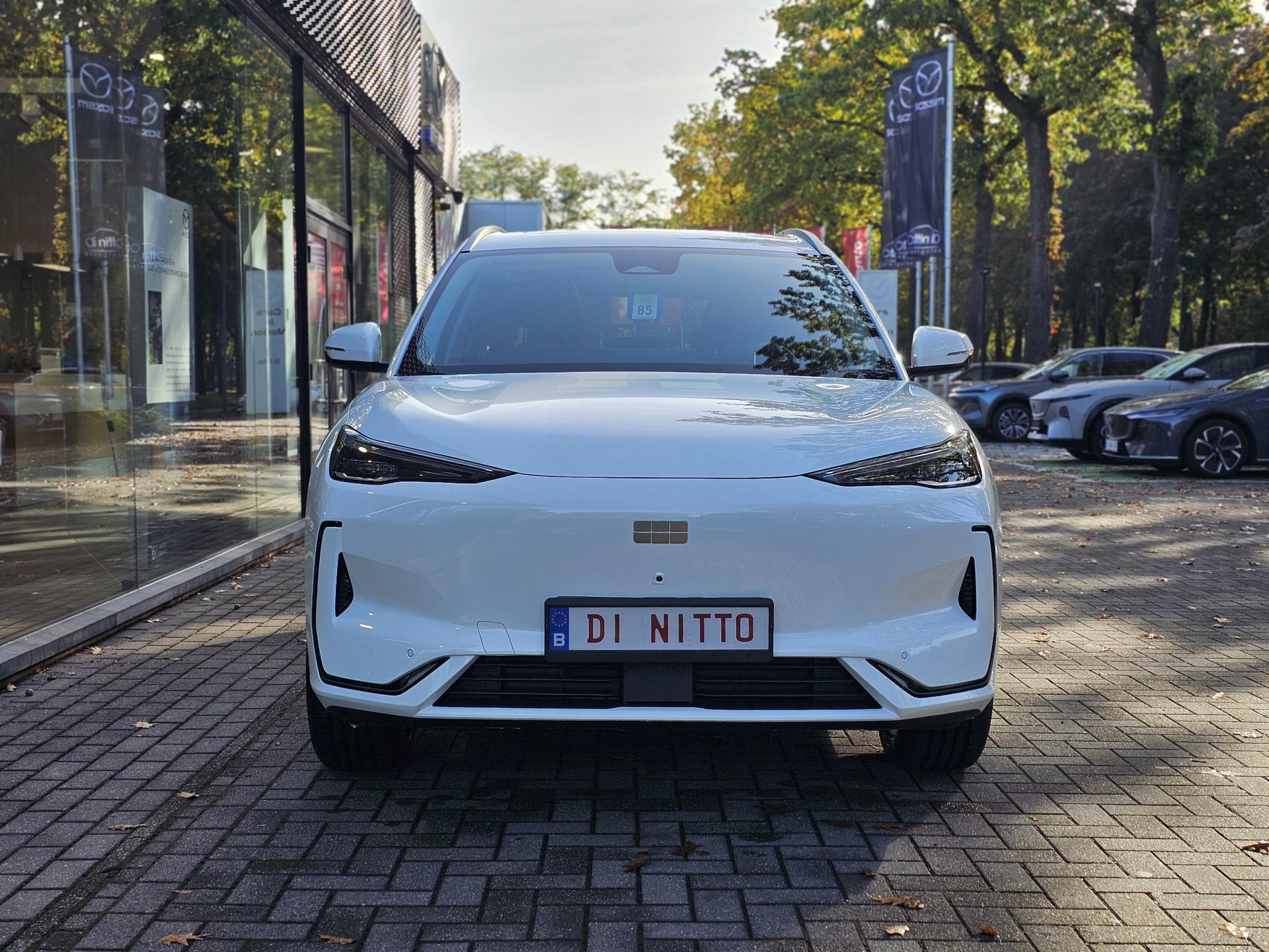 57461116-2.jpg